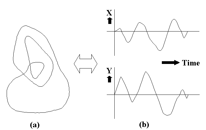 図１．「形」と「２つの運動（波）」との関係